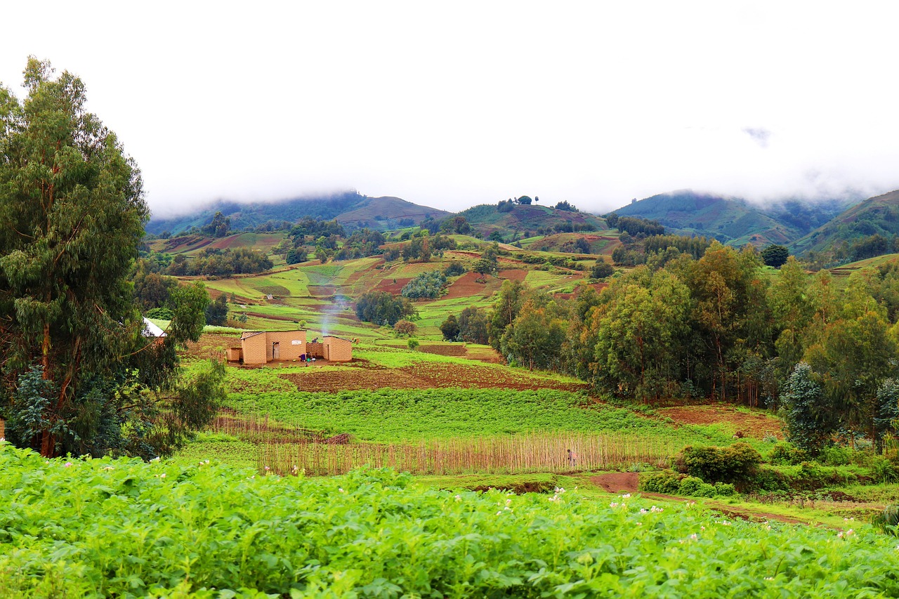 landscape-5045546_1280