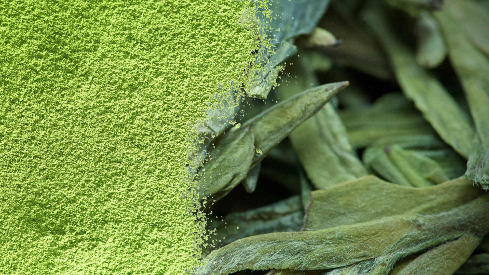 blog-matcha-und-gruener-tee